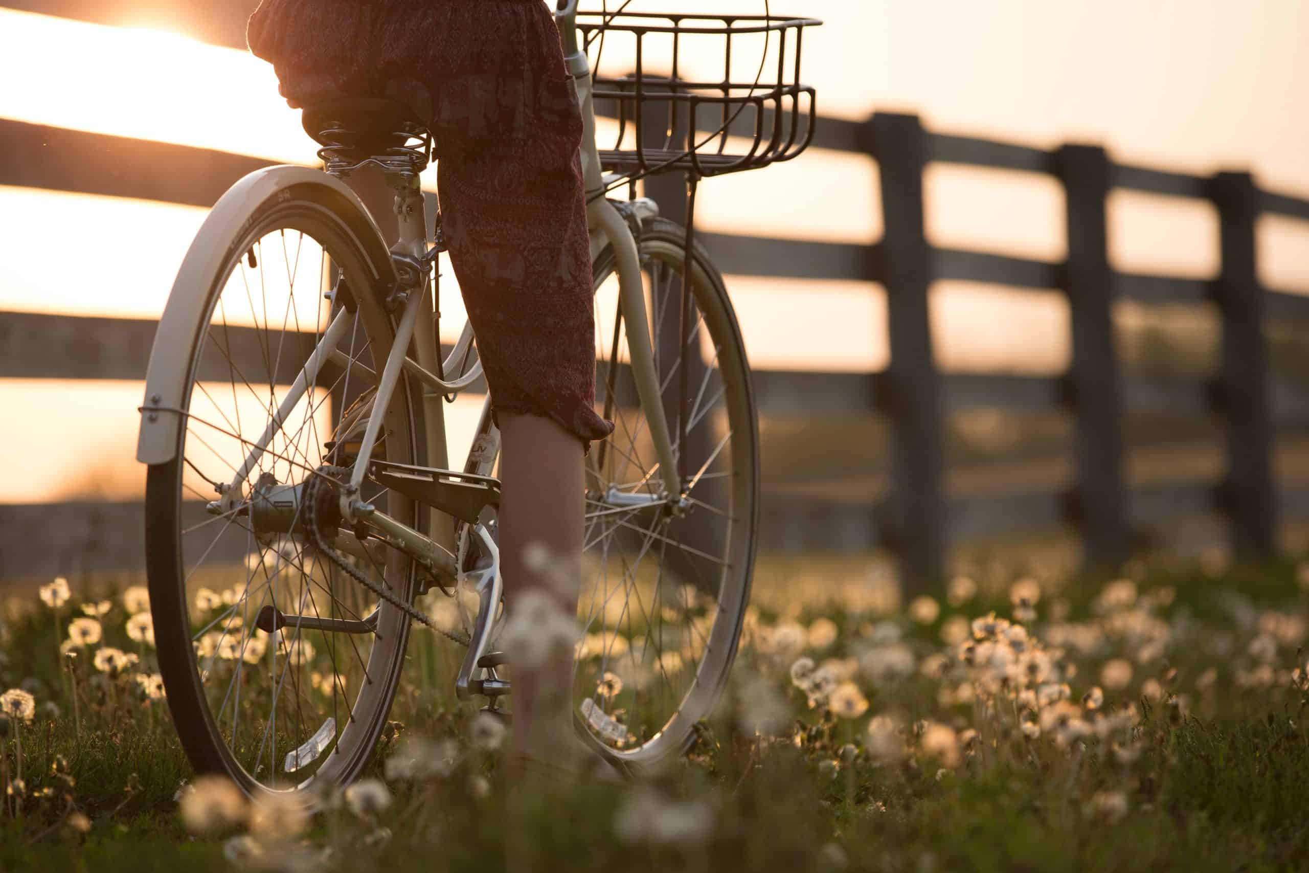 een fietser door de natuur